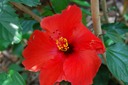 DSC 0003