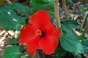 DSC 0005