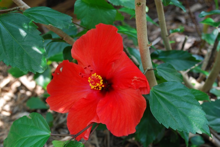 DSC 0005