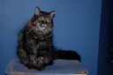 DSC 0010