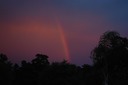 DSC 0010