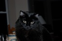 DSC 0012