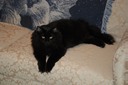 DSC 0012