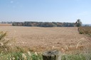 DSC 0013