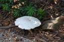 DSC 0014