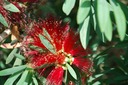 DSC 0016