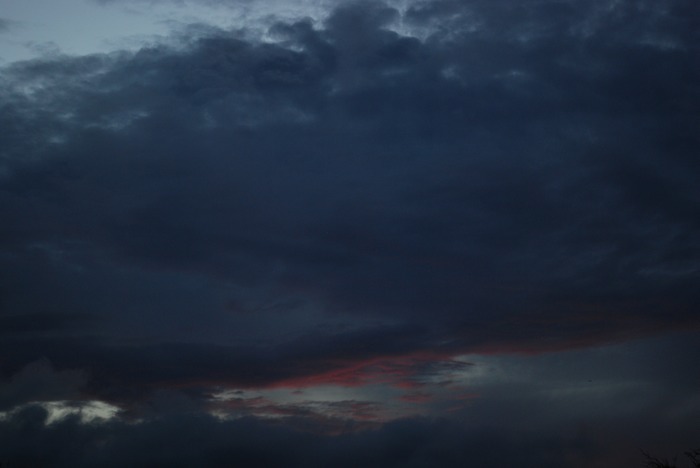 DSC 0018