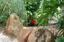 DSC 0020