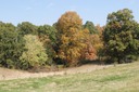 DSC 0022