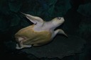 DSC 0024