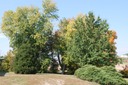 DSC 0025
