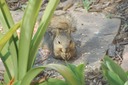 DSC 0026