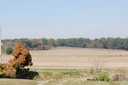 DSC 0026