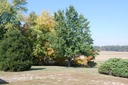 DSC 0031