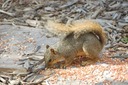DSC 0032