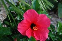 DSC 0035