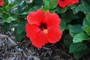 DSC 0037