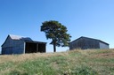DSC 0047