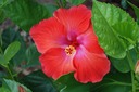 DSC 0048