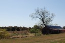 DSC 0057