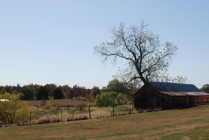 DSC 0057