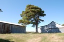 DSC 0061