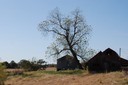 DSC 0062