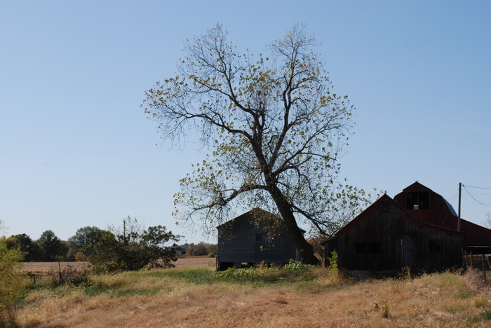 DSC 0062