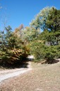DSC 0069
