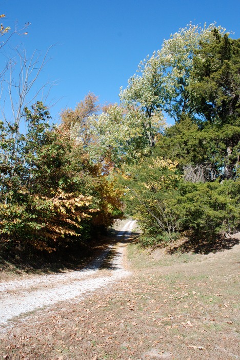 DSC 0069