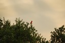 DSC 0069