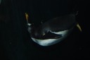 DSC 0076