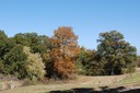 DSC 0077