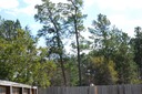 DSC 0091