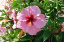 DSC 0097