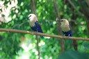 DSC 0177
