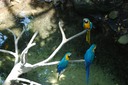 DSC 0190
