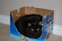DSC 0196