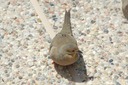 DSC 0205