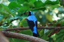 DSC 0216