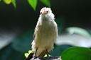 DSC 0246