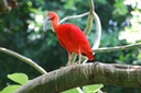 DSC 0261