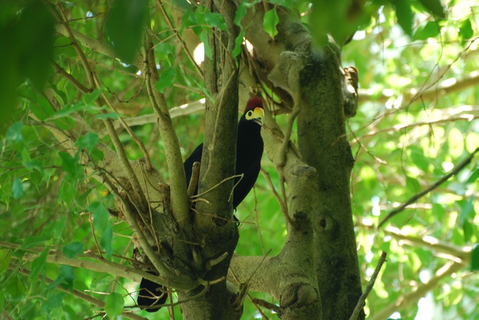 DSC 0285