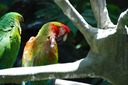 DSC 0326