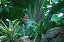 DSC 0345