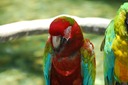 DSC 0370