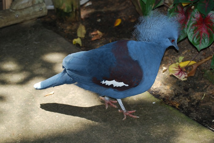 DSC 0378