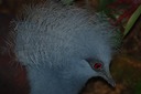 DSC 0380