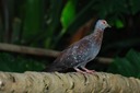 DSC 0398