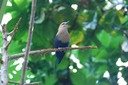 DSC 0410